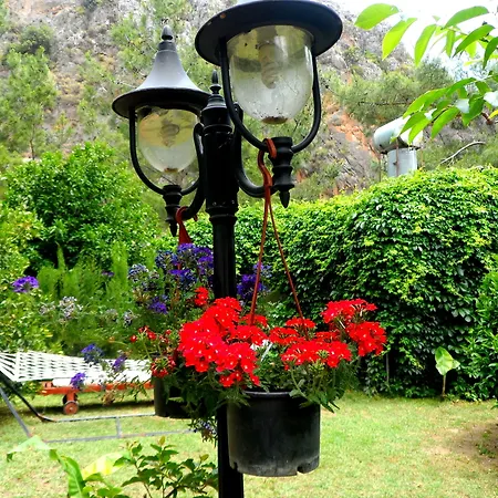 Arya Guest house Cirali