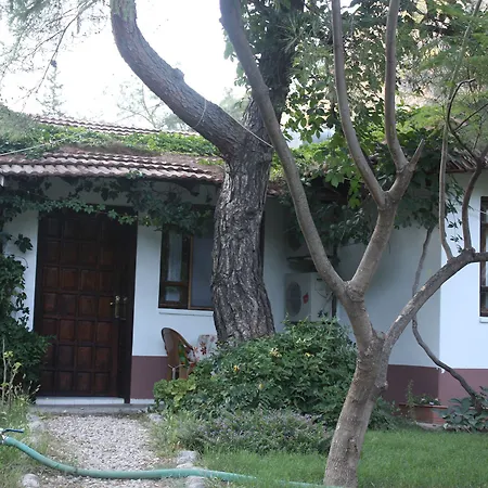 Arya Guest house